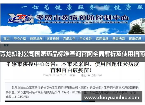 尊龙凯时公司国家药品标准查询官网全面解析及使用指南